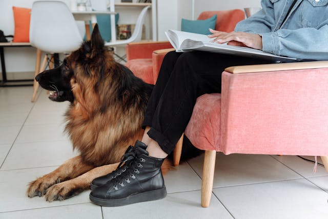 person-sitting-on-a-chair-reading-braille-with-a-dog-beside-them